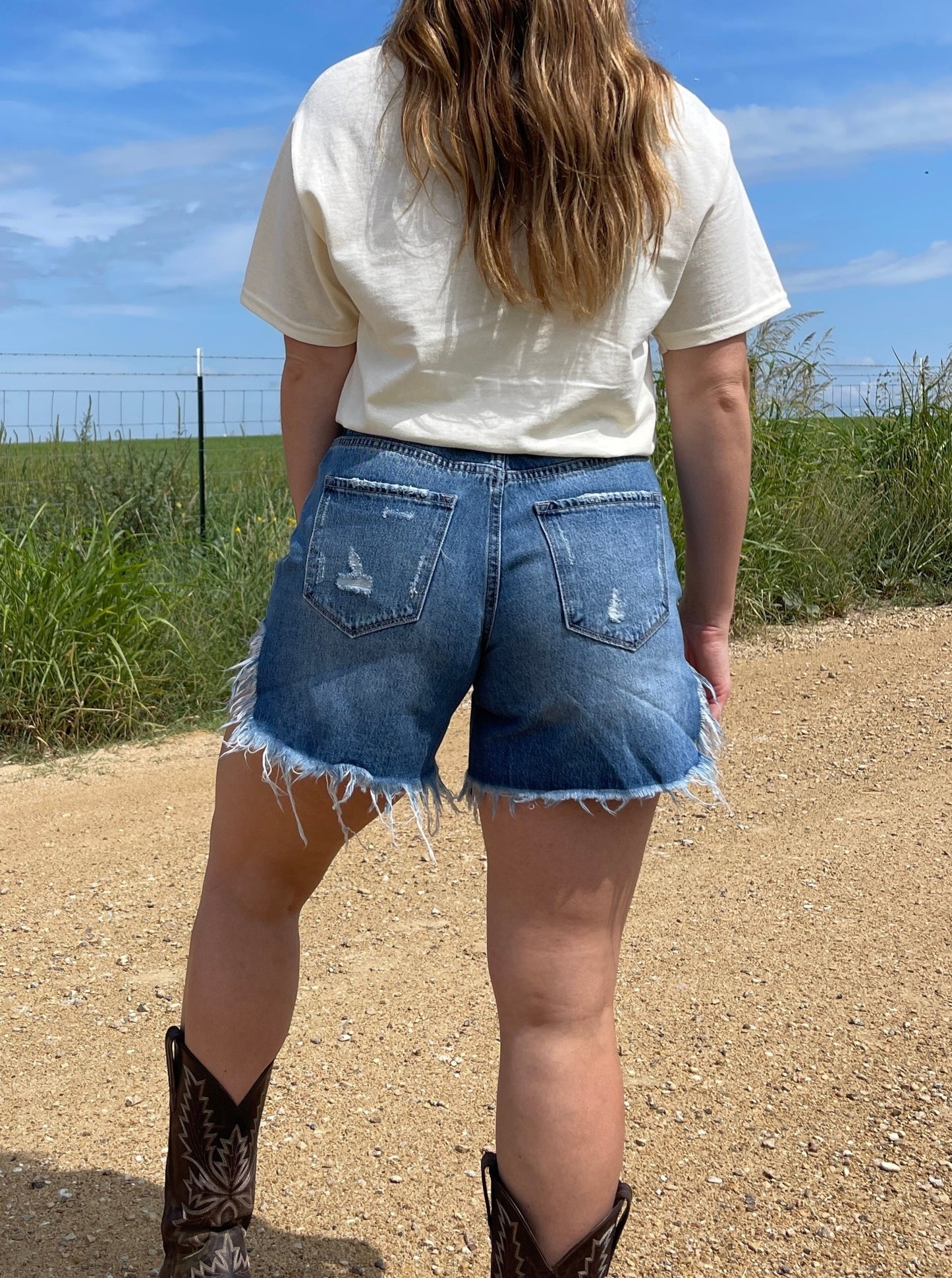 Everyday Distressed High Rise Shorts
